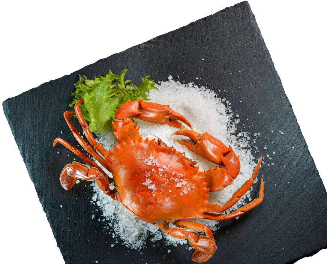 陽(yáng)澄湖大閘蟹